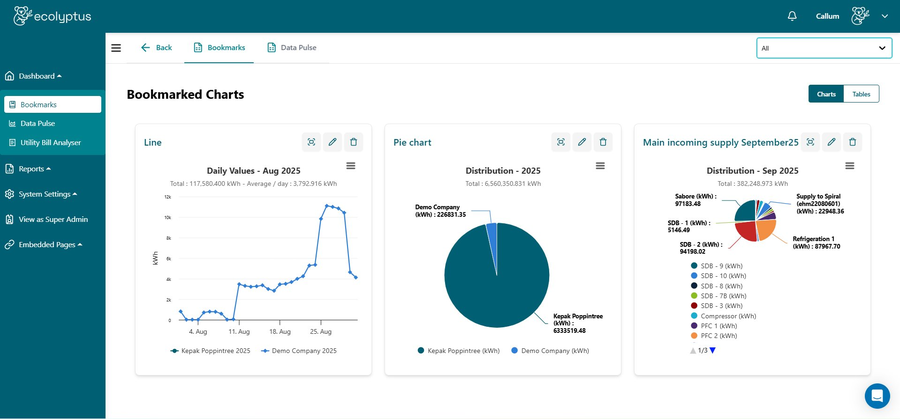 Data Pulse pie chart